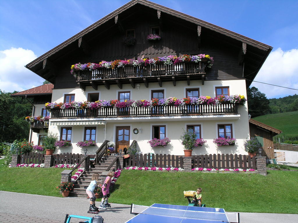 Nussbaumer Am Irrsee Tiefgraben Exterior photo